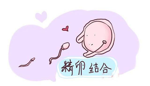 一个男生不好意思看你,一个男人不联系你了表示什么