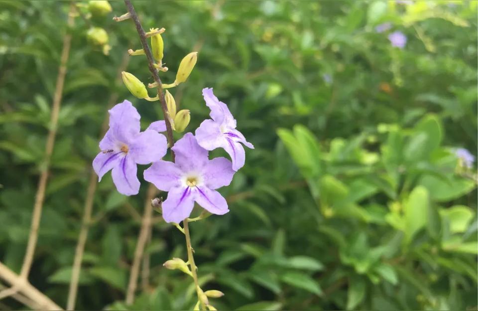 初中怎么追自己喜欢的男生有经验的人可以来分享一下追男孩子的技巧吗