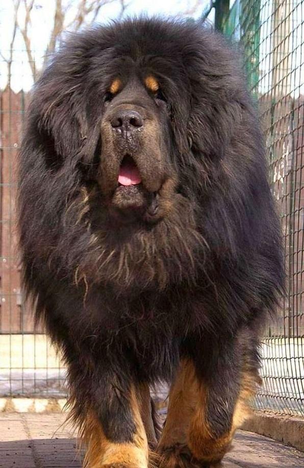 女生怎么才能让男生喜欢想约自己喜欢的男生出来玩