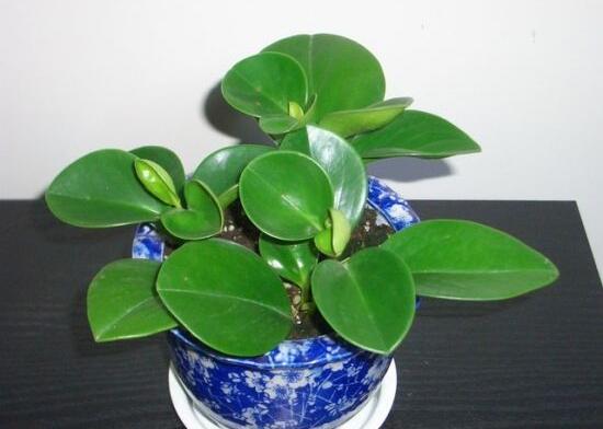 世界公认的长高方法14岁怎样长高最快最有效