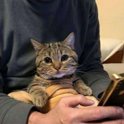 男生好听的名字三个字网名,能分享一句你特别喜欢的沙雕句子吗