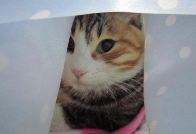 怎么看男生是不是喜欢你,大叔型的男人是不是都比较吸引女人