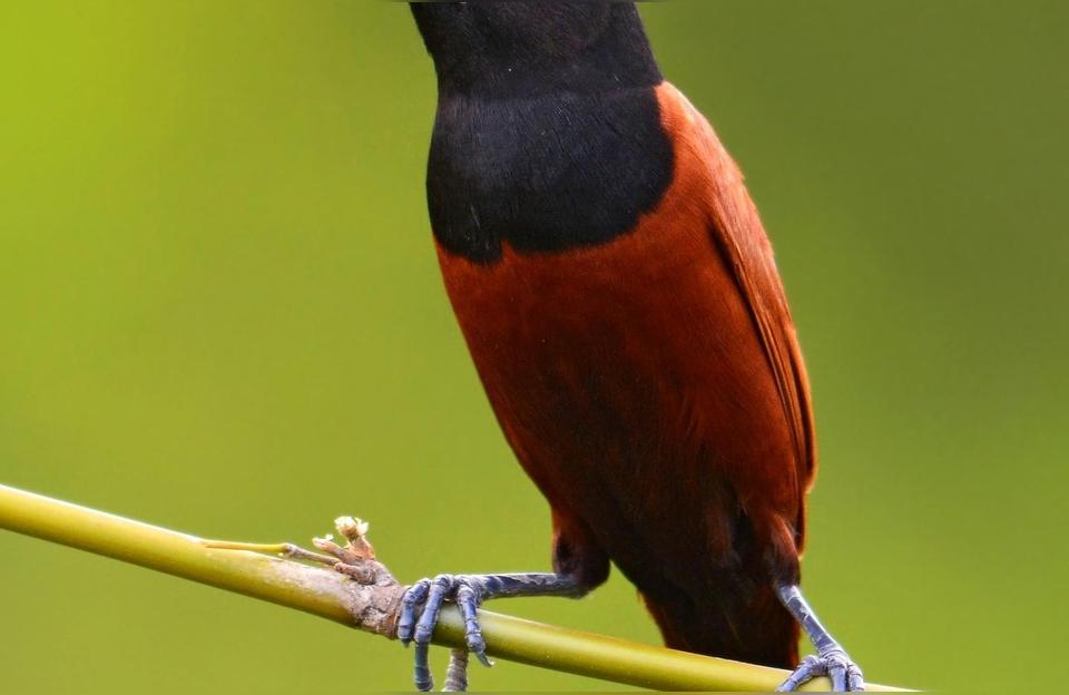 男人最喜欢做的一件事性价比高的男装品牌有哪些推荐