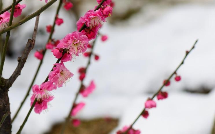 男人动情会喊女人什么叫你傻瓜的男人是真的爱你吗