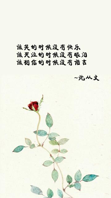 情话最暖心短句,给女朋友生日情话最暖心短句