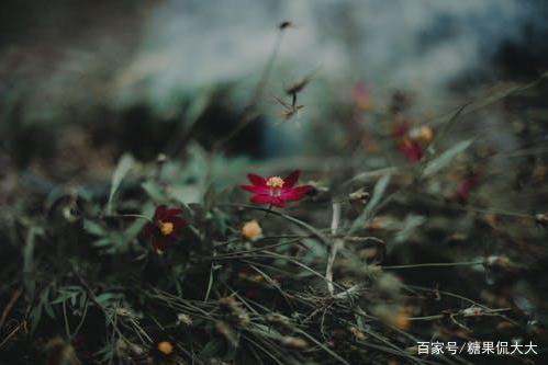 姐妹们:有一个非常优秀的。男生喜欢我,他长得挺帅,能文能武,多才多艺...