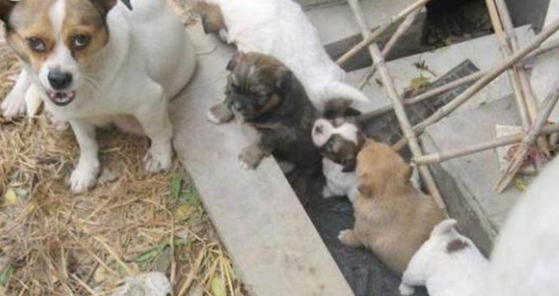 让男朋友感动哭的一段长话女生为男友剪指甲