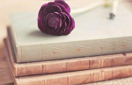 女人最喜欢听的暖心话(男生哄女生的暖心话)