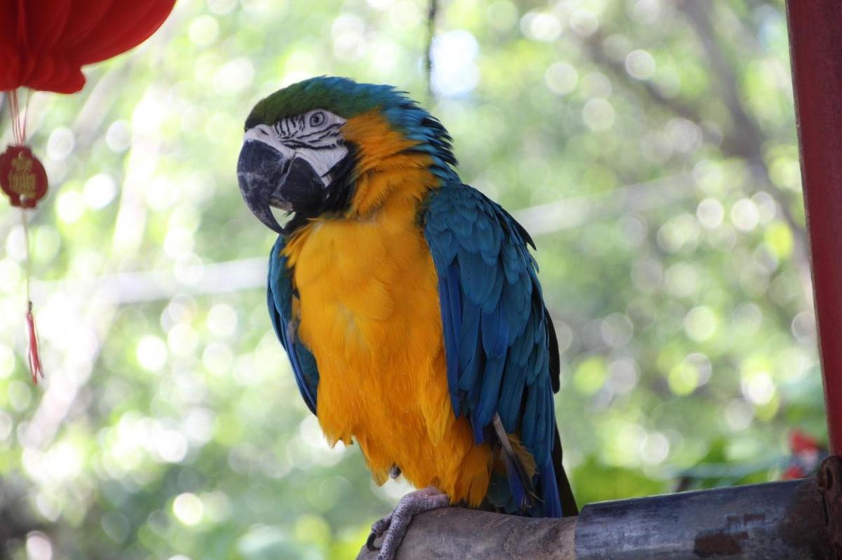 平常叫男朋友的名称,异地恋男友应该怎么称呼