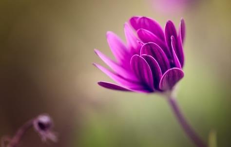 中年男人惦记一个女人,中年男人什么表现能证明是真的爱你