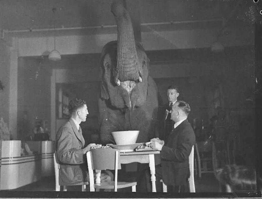 男生穿女生的泳衣,你会选什么样的泳衣