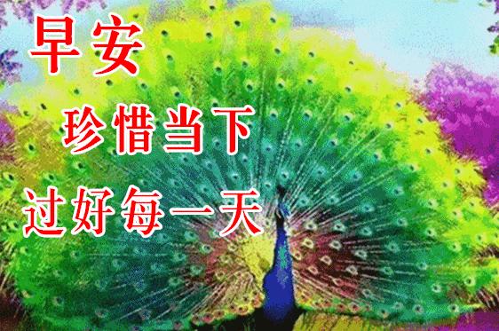 问候的暖心句子,2021年6月早上问候亲人暖心短句