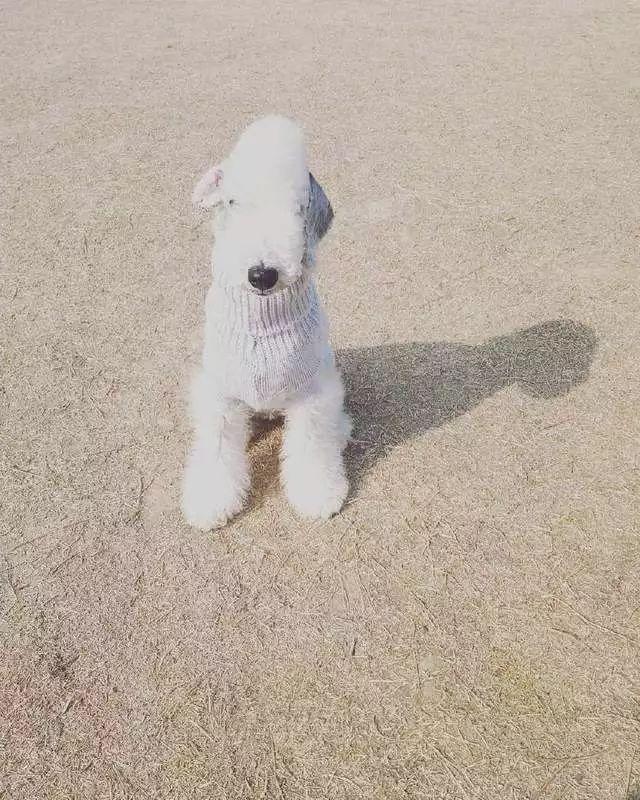 混在女人堆的男人一个女人同时被几个女人排挤是为什么