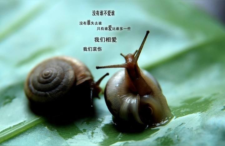 如何向自己喜欢的女生表白喜欢上一个文静爱读书的内向女孩