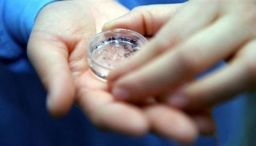 试管婴儿你知道试管婴儿吗