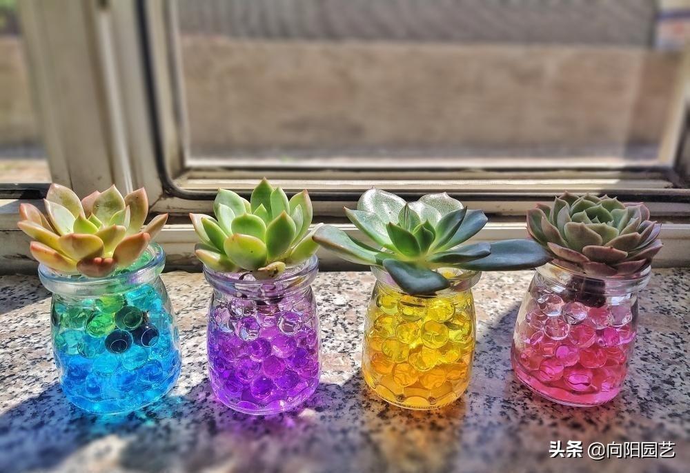 怎么让自己快速有水20种方法大家有什么有趣的APP推荐吗