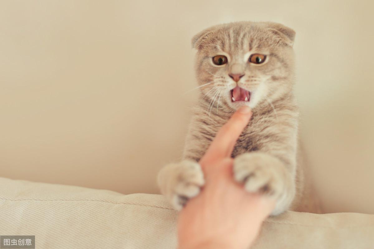 缺爱心理测试评估,一个缺爱自卑孤独敏感的人还有救吗