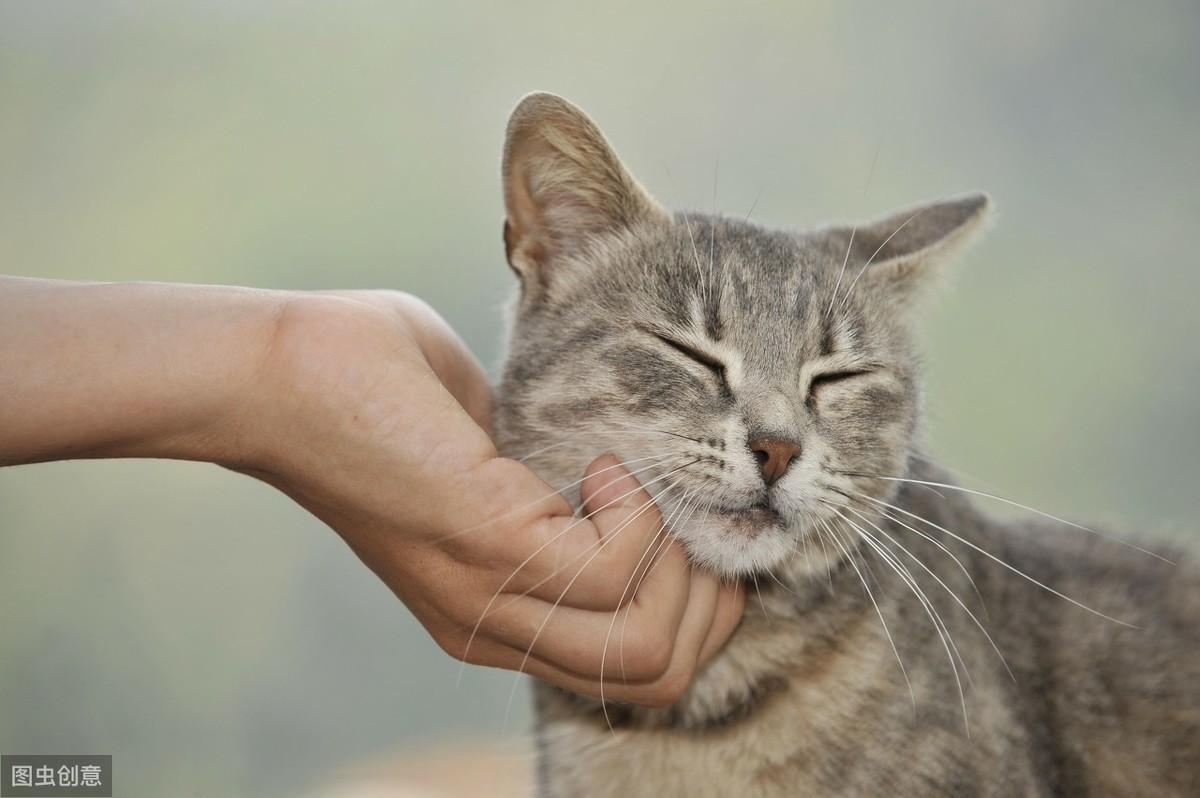 男孩喜欢做的事有哪些说出六个让你高兴的事