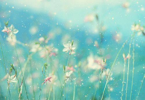 英文昵称简短,免费学英语用哪个软件好