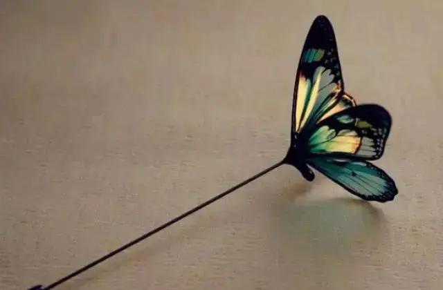 测试暗恋的人是否喜欢你感觉一个人对自己有好感