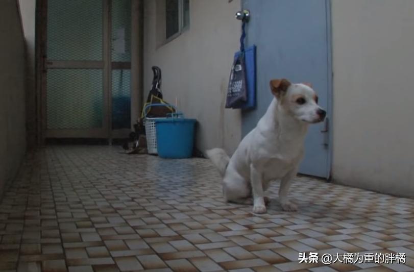 女生让男生求她是什么行为这样是不是她就觉得男方很没用