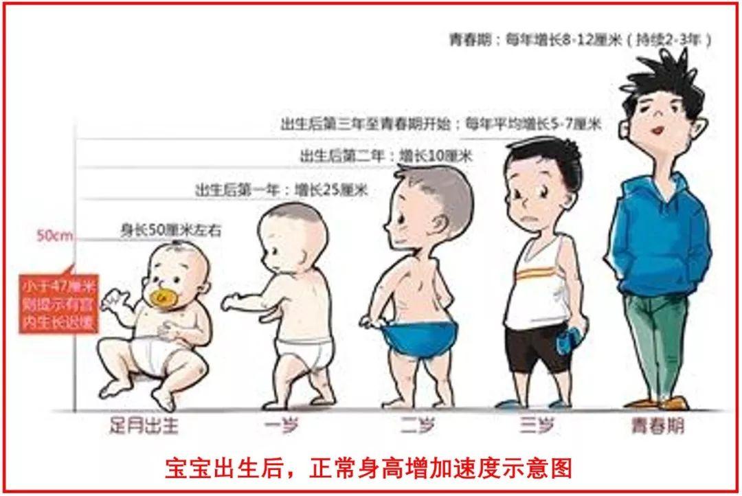 女孩的长高年龄表格图片06年女生正常身高