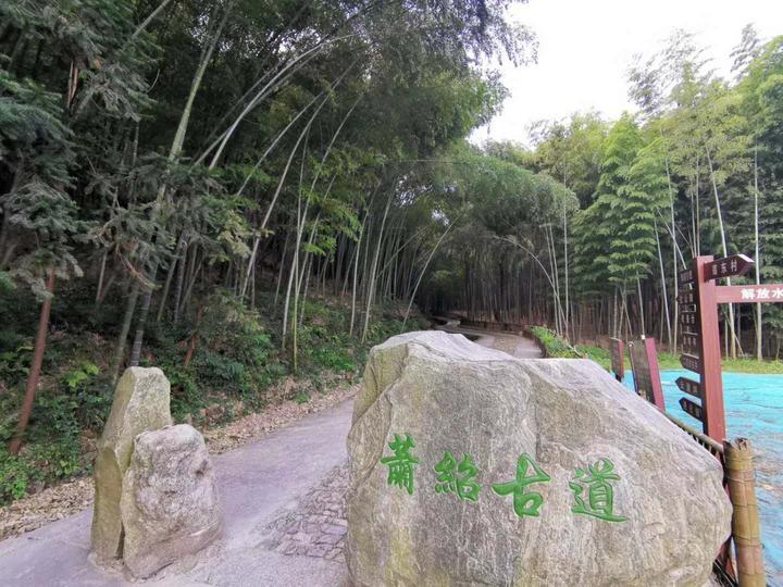 春天直播免费看Doinb直播后台数据曝光