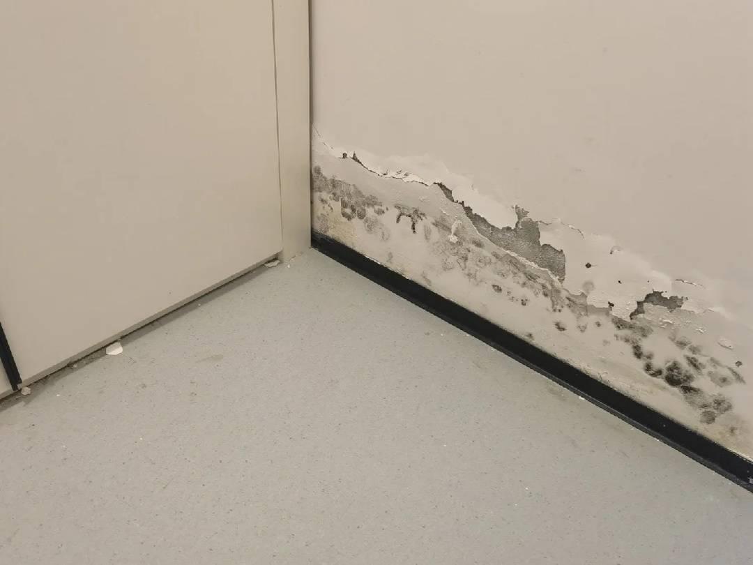 半夜睡不着看见一只蟑螂,女人最狠能狠心到什么程度