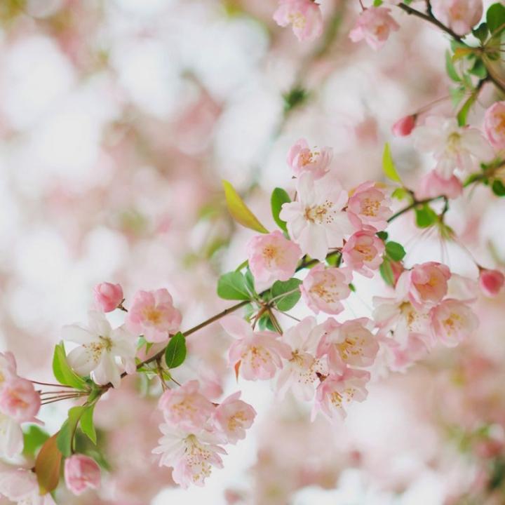 半夜看正能量的东西你觉得通过看电影