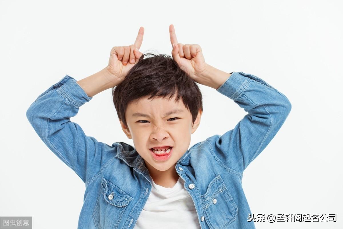 起名字男孩2020免费,大家推荐点适合孩子的书单可以吗