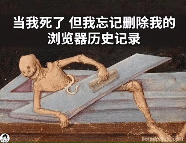 什么都能看的浏览器,有什么浏览器不占内存使用