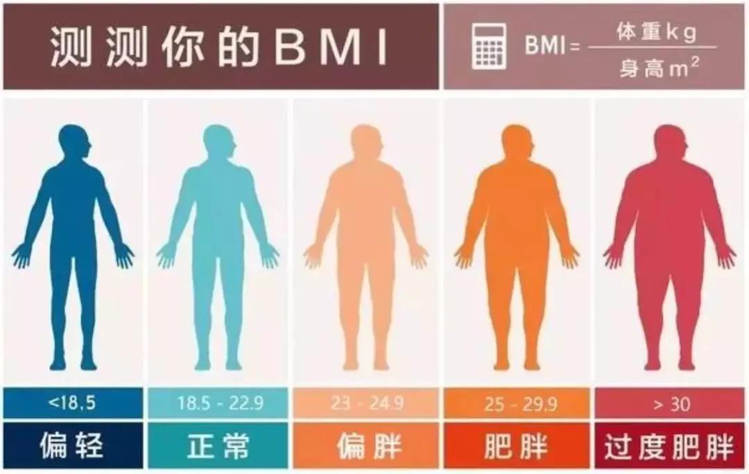 BMI指数计算器bim公式计算器