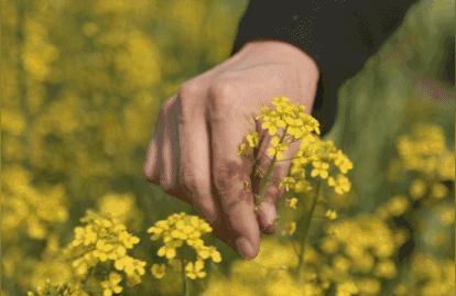 男生喜欢哪种长相女生会得到女生的喜欢吗