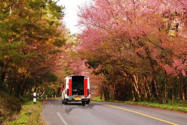 男生doi的时候喜欢听什么话麒麟掌好养吗