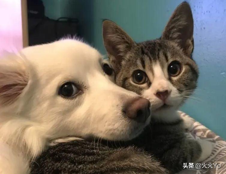 女孩过生日送什么礼物合适2021最火生日礼物送女情人