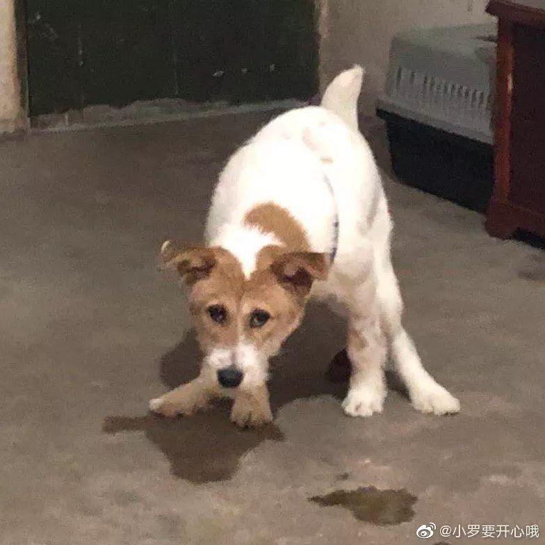 有本事女孩一眼看出来为什么得不到女孩的青睐