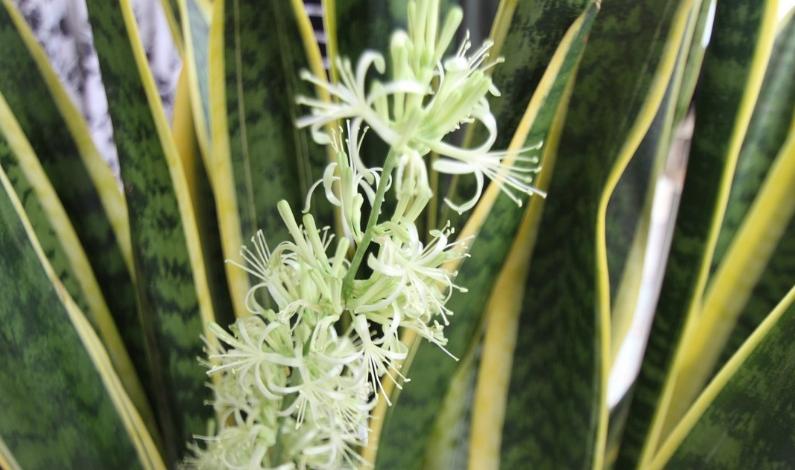 有什么办法可以长高游泳可以增高是什么原理