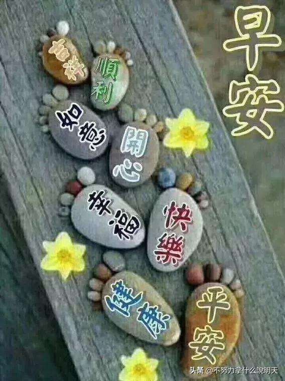 打动女人的情话语句(七夕节女生对女生说的情话)