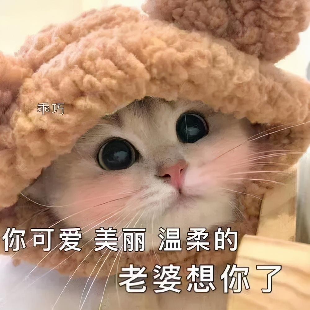 有女生撩我男朋友咋办,女生有男朋友还撩你