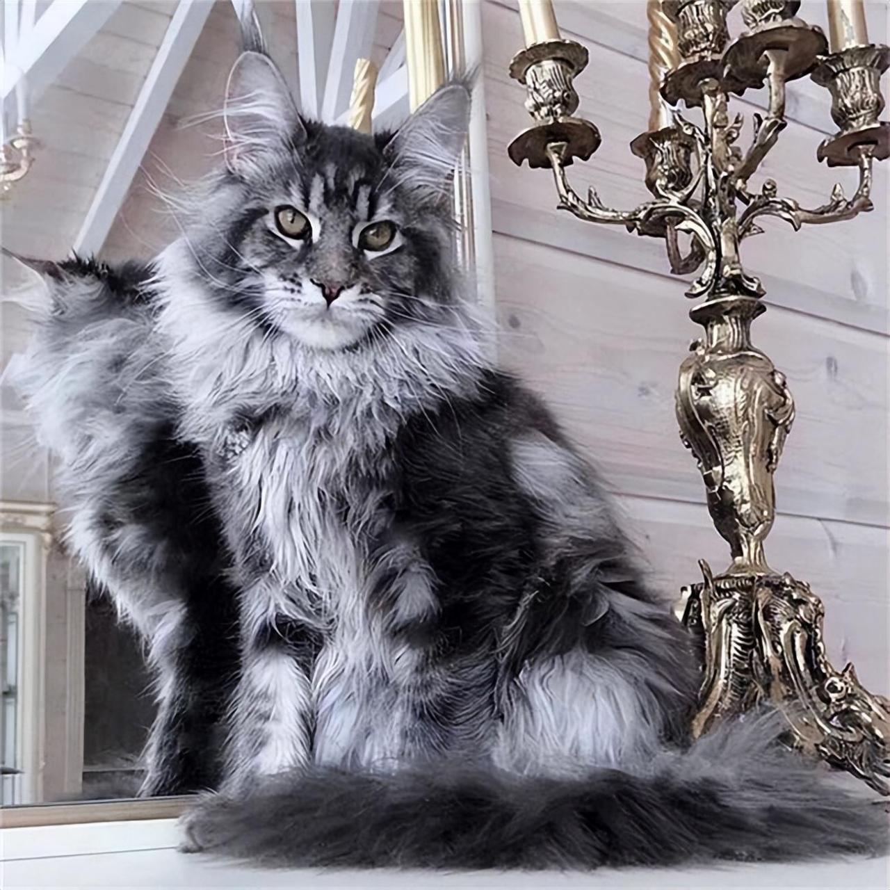 mbti人格官网mbti性格分为几大类型