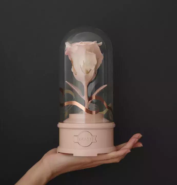 喜欢的女生送什么礼物追女生送什么礼物