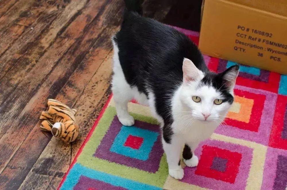 渣男的表情包你见过哪些搞笑的签名