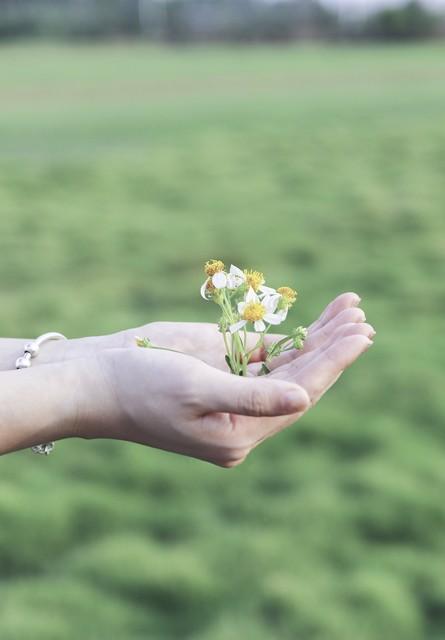让男生喜欢你的小手段小学生,为什么有时候小男孩特别喜欢女孩的玩具