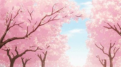 怎么追喜欢的男孩子知乎怎样成为解决问题的高手