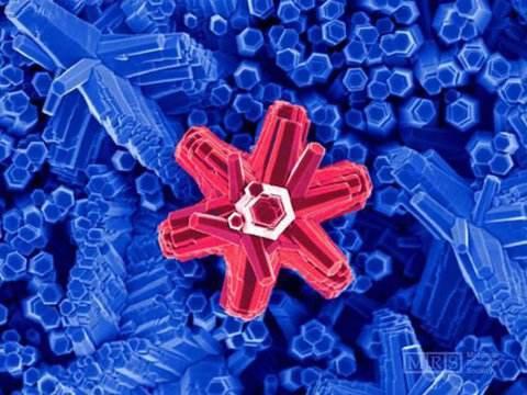 大部分女生喜欢多高的男生买房怎么选楼层