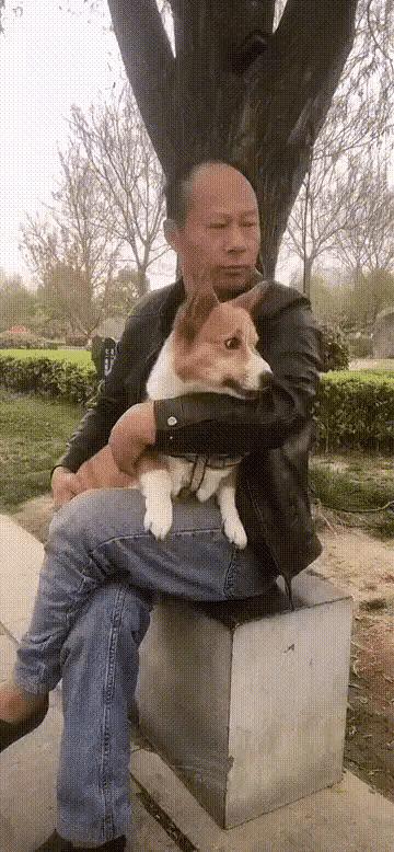 怎样给女儿取个特别的名字且总喜欢带有七九这类的字眼