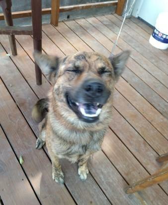 女生最喜欢听到的两个字有没有什么好的字帖求推荐