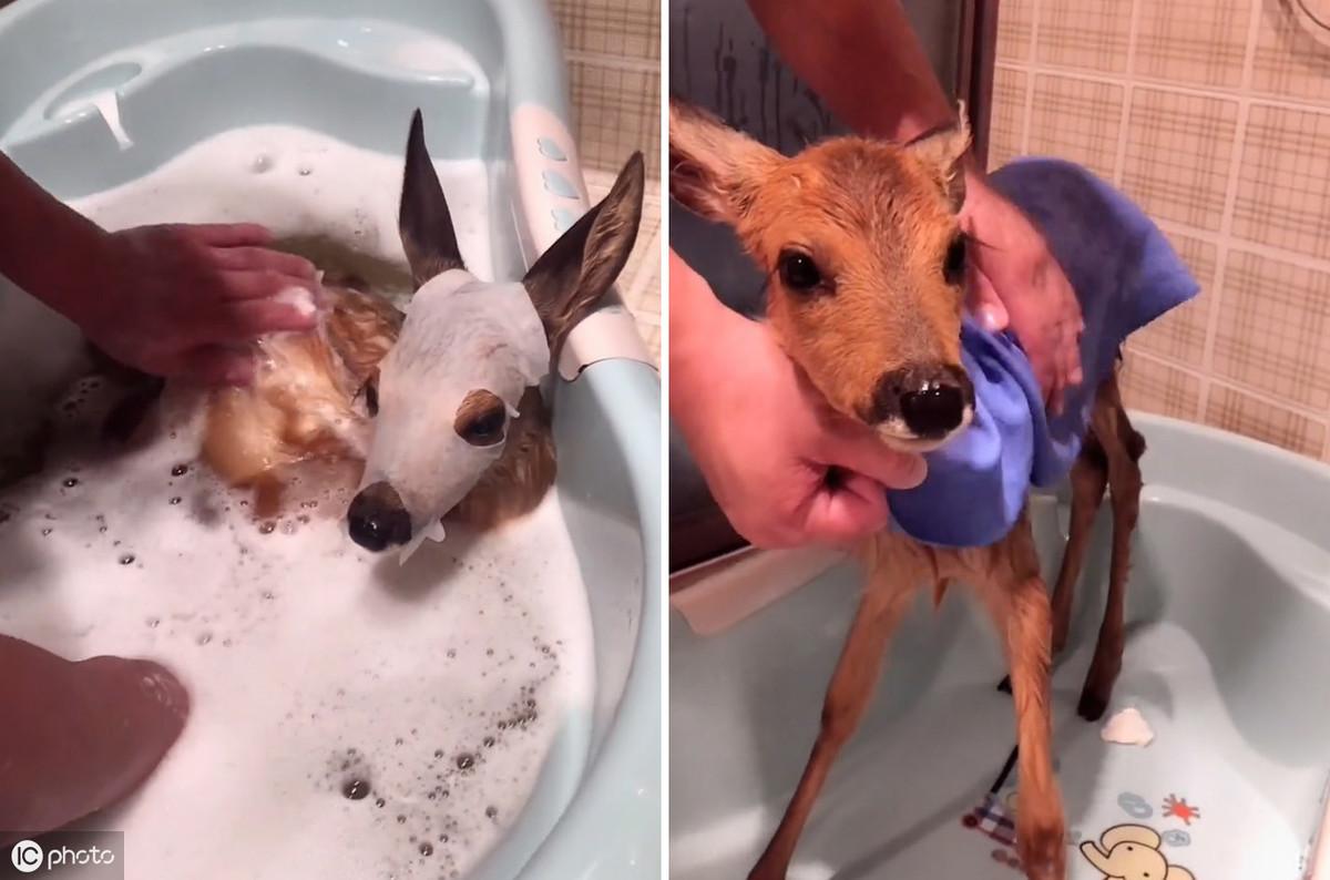 给女友取一个专属名字女子的闺房中有什么神奇的发明吗