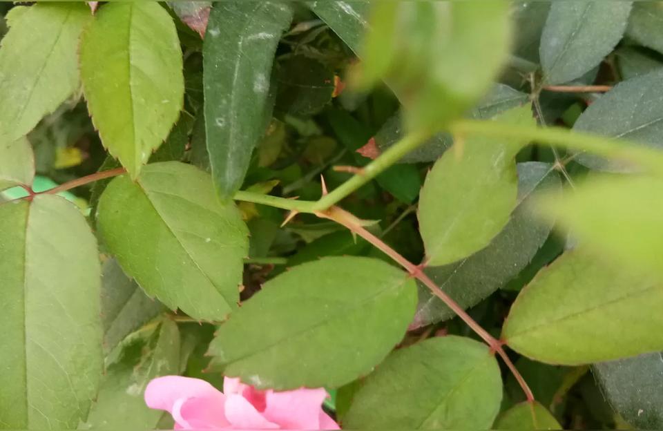 怎么看男生喜欢自己还是不爱哪些表现能看出来他不爱你了