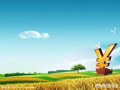 电商首先要怎么做什么,想从事自媒体或电商领域，手上只有两台手机和一台电脑，请教大神该怎么做